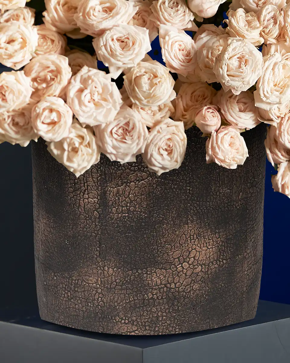 BOMBASTIC MANIA 1 2025 BOMBASTIC MANIA 1 2025