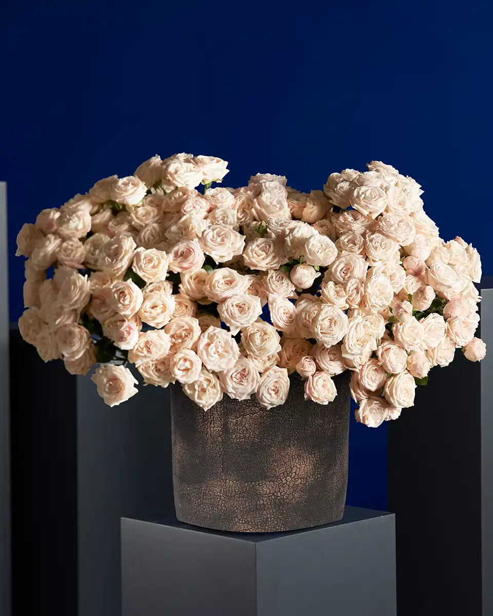 BOMBASTIC MANIA Edited 2025 BOMBASTIC MANIA Edited 2025