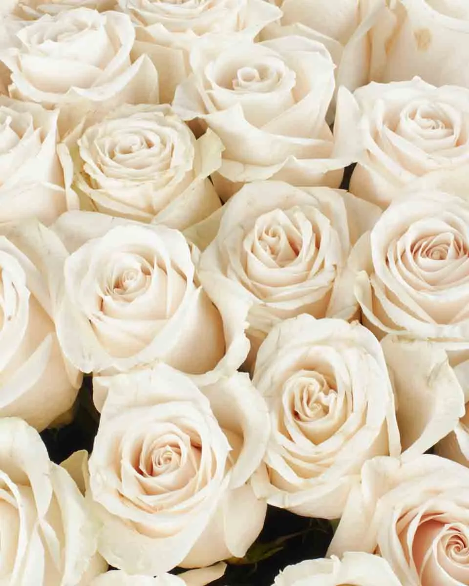 CHARMED SUPERB Oct, 2025 2 CHARMED SUPERB Oct, 2025 2