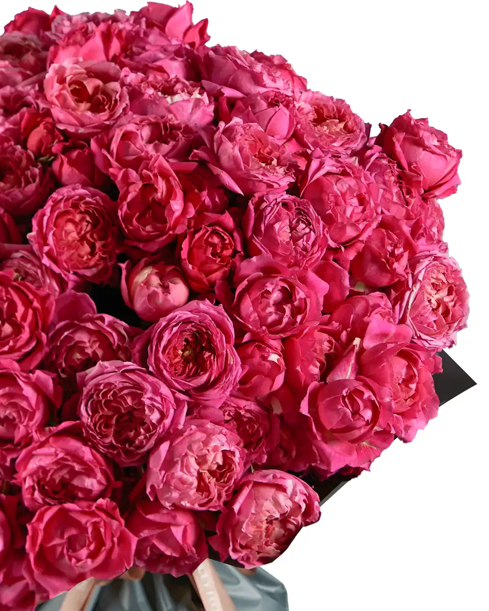 Charisma Superb Edited2 Charisma Superb Edited2