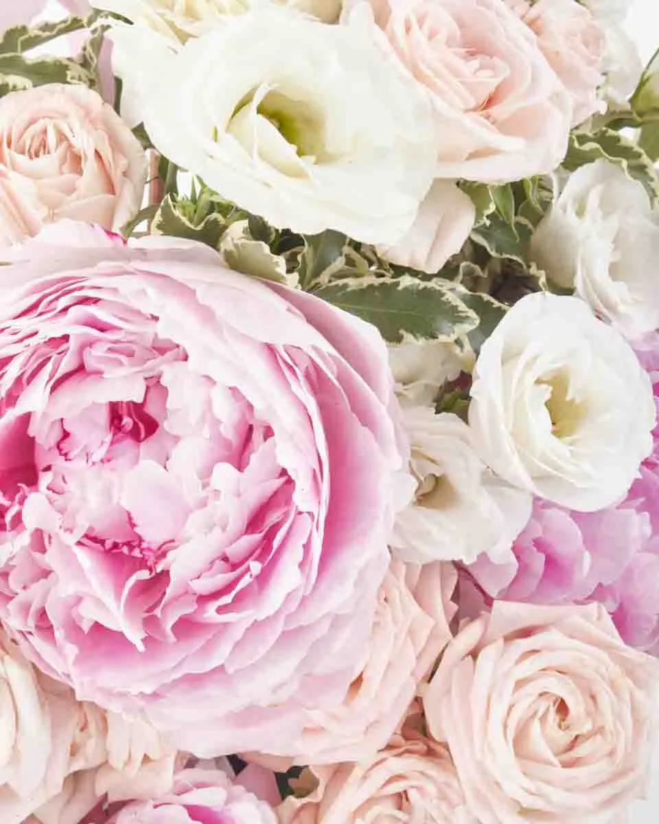 Charming Hues JUNE 20 2023 2 Charming Hues JUNE 20 2023 2