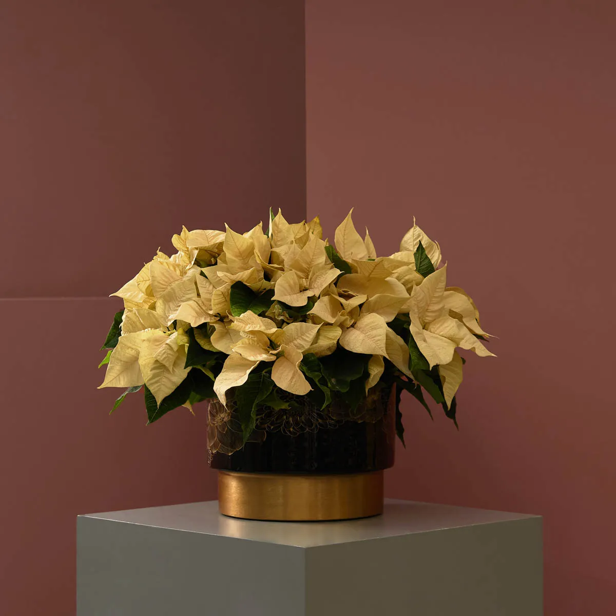 Christmas Story Christmas Story