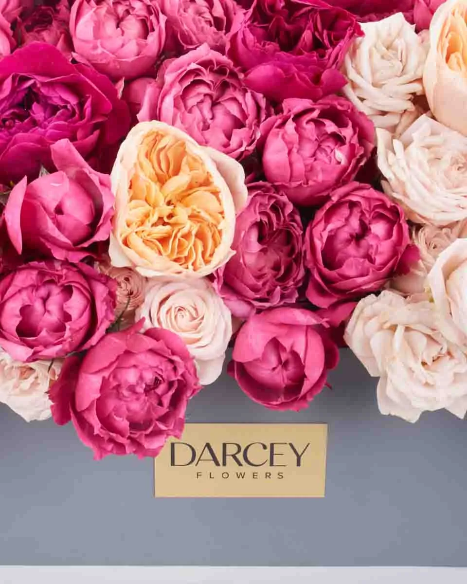 Darcey Treasure JUNE 19 2023 1 1 Darcey Treasure JUNE 19 2023 1 1