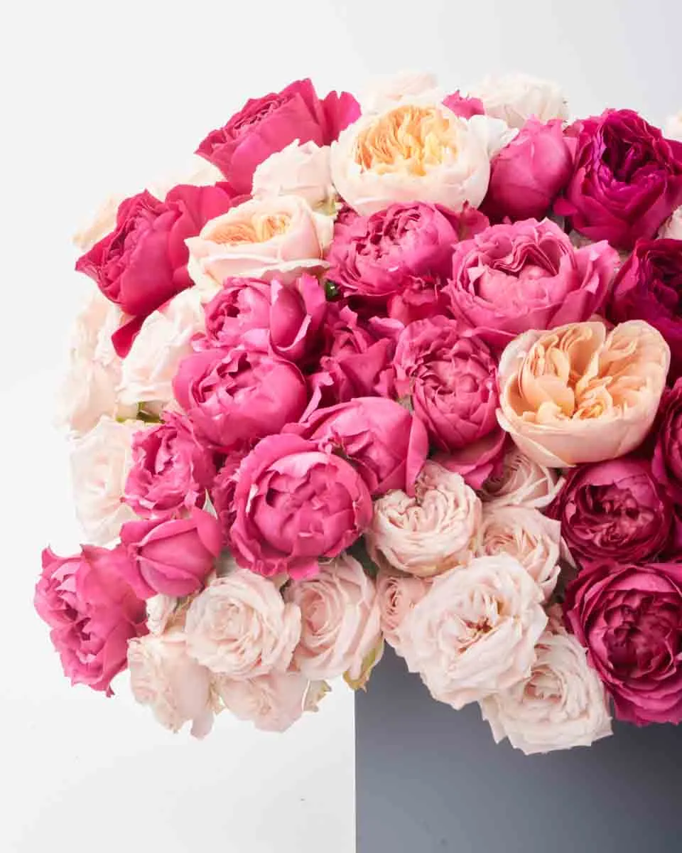 Darcey Treasure JUNE 19 2023 1 Darcey Treasure JUNE 19 2023 1