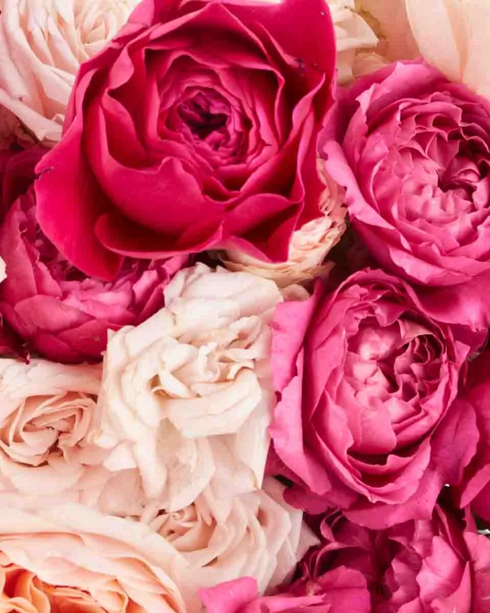 Darcey Treasure JUNE 19 2023 2 Darcey Treasure JUNE 19 2023 2