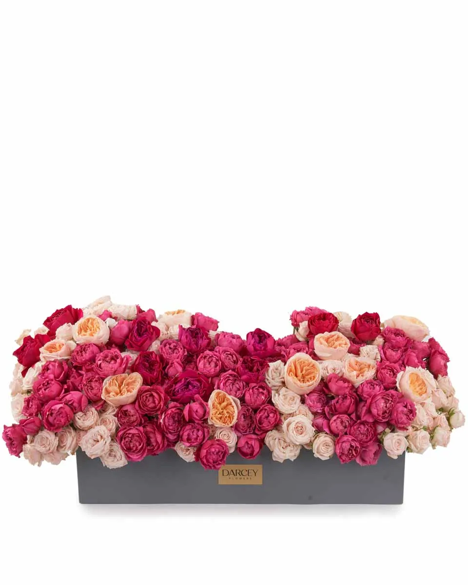 Darcey Treasure JUNE 19 2023 Darcey Treasure JUNE 19 2023