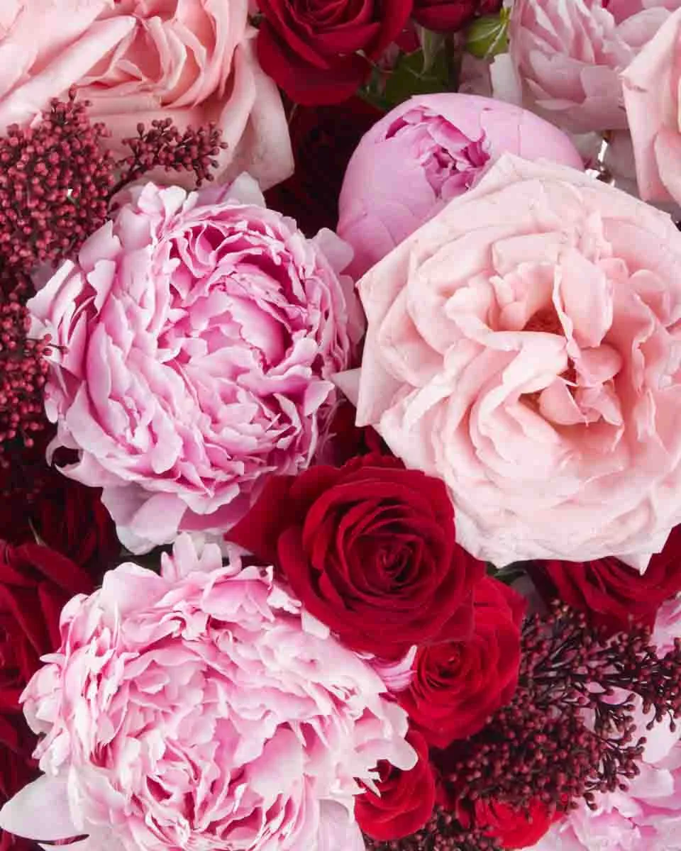 Dreaming of you JUNE 14 2023 2 Dreaming of you JUNE 14 2023 2