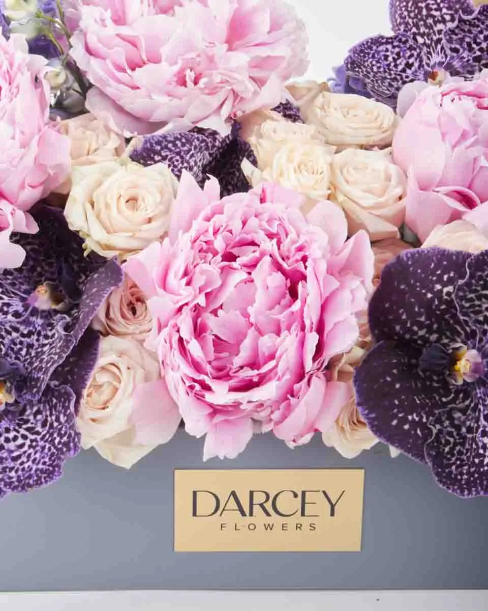 Dreamy Hues JUNE 19 2023 1 Dreamy Hues JUNE 19 2023 1