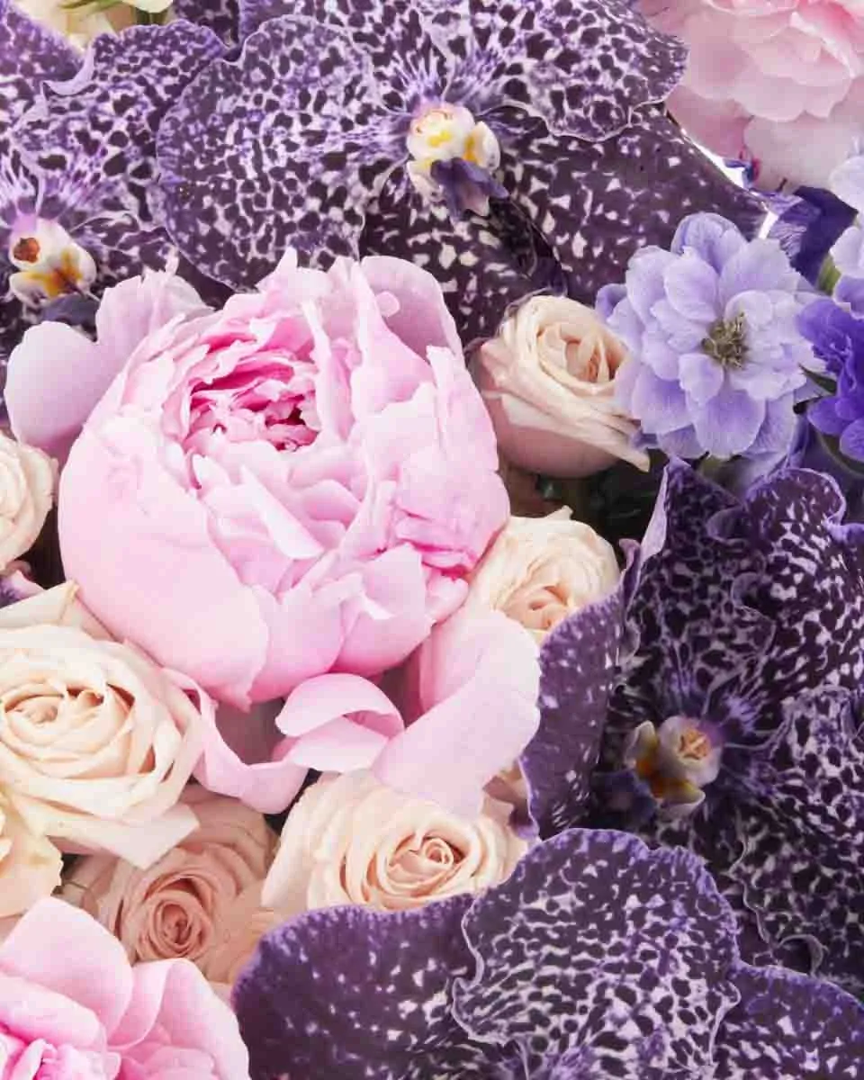 Dreamy Hues JUNE 19 2023 2 Dreamy Hues JUNE 19 2023 2