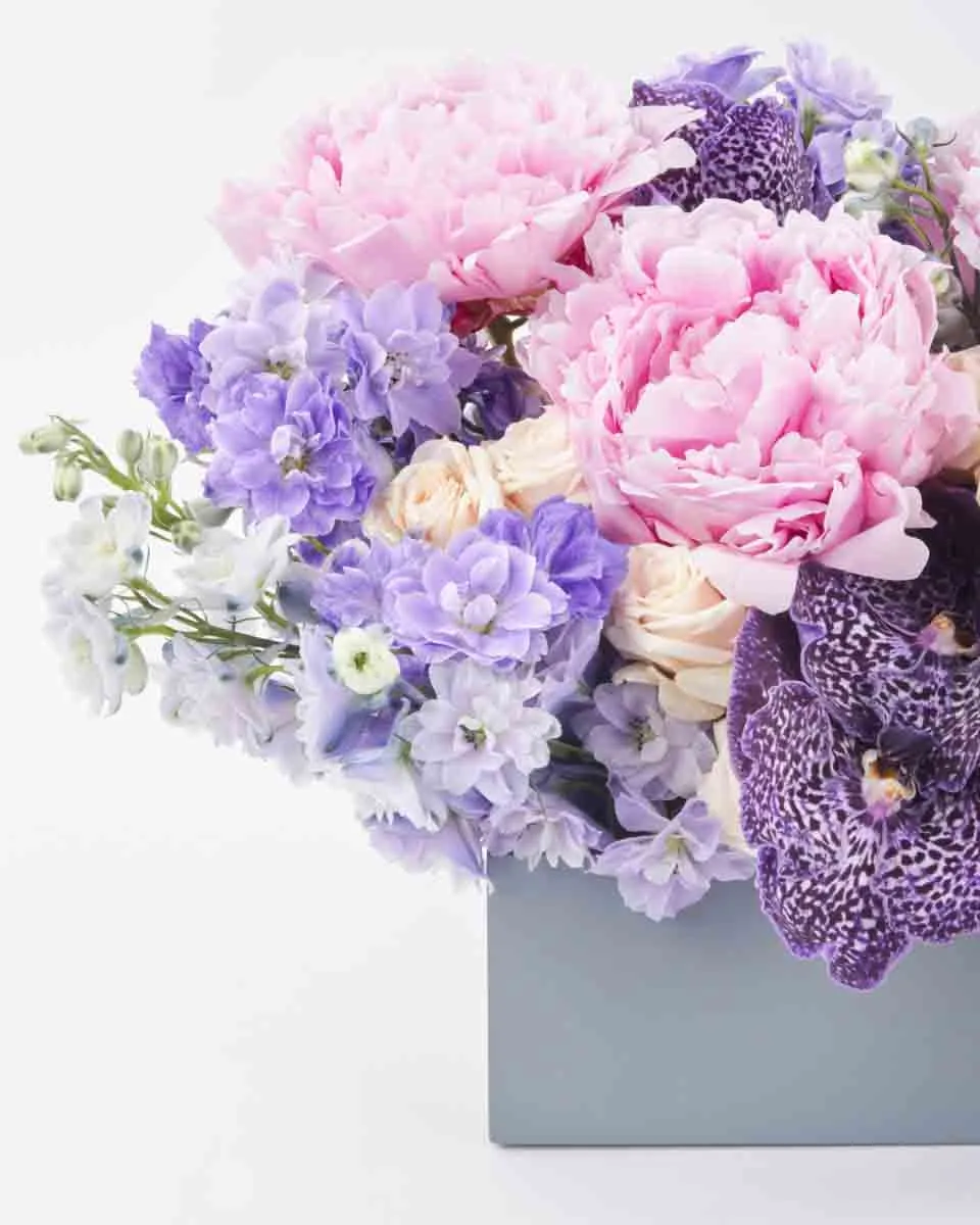 Dreamy Hues JUNE 19 2023 3 Dreamy Hues JUNE 19 2023 3