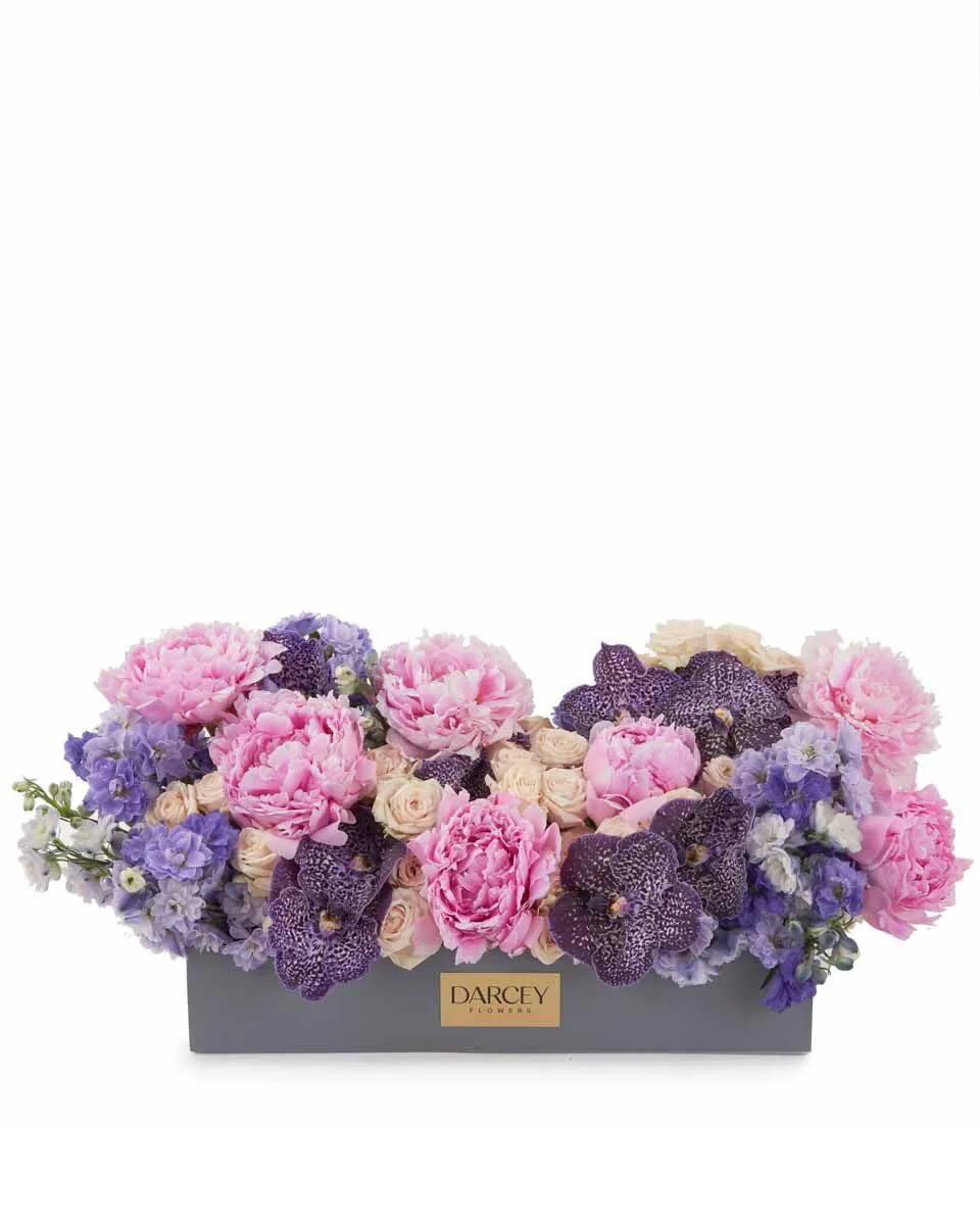 Dreamy Hues JUNE 19 2023 Dreamy Hues JUNE 19 2023