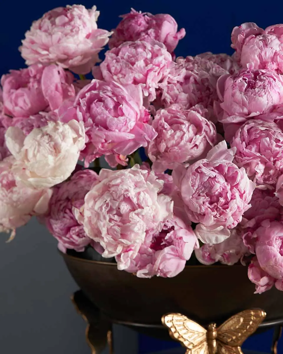 FOR SHAIKHA Details FOR SHAIKHA Details