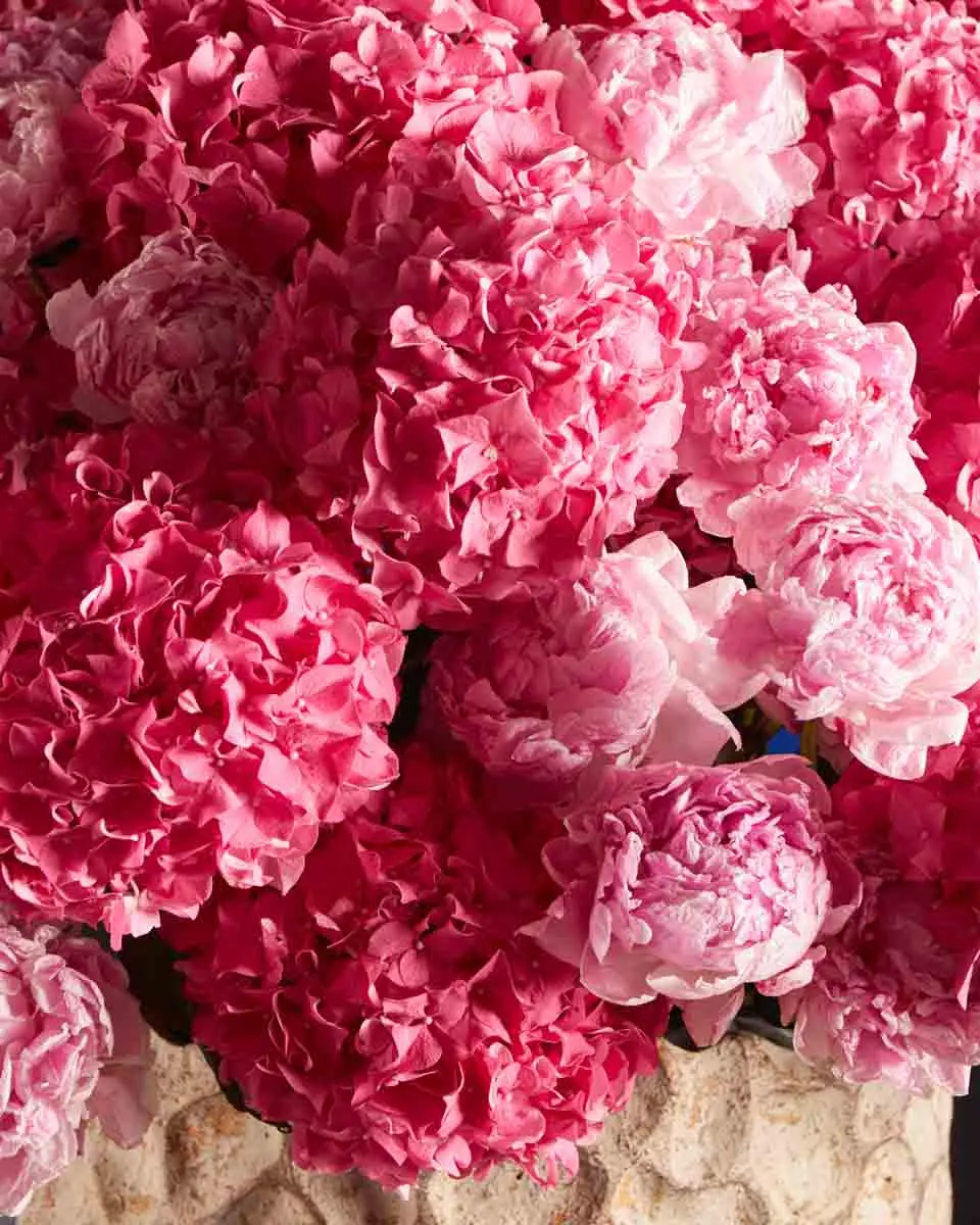 GIVE ME LOVE 3 GIVE ME LOVE 3