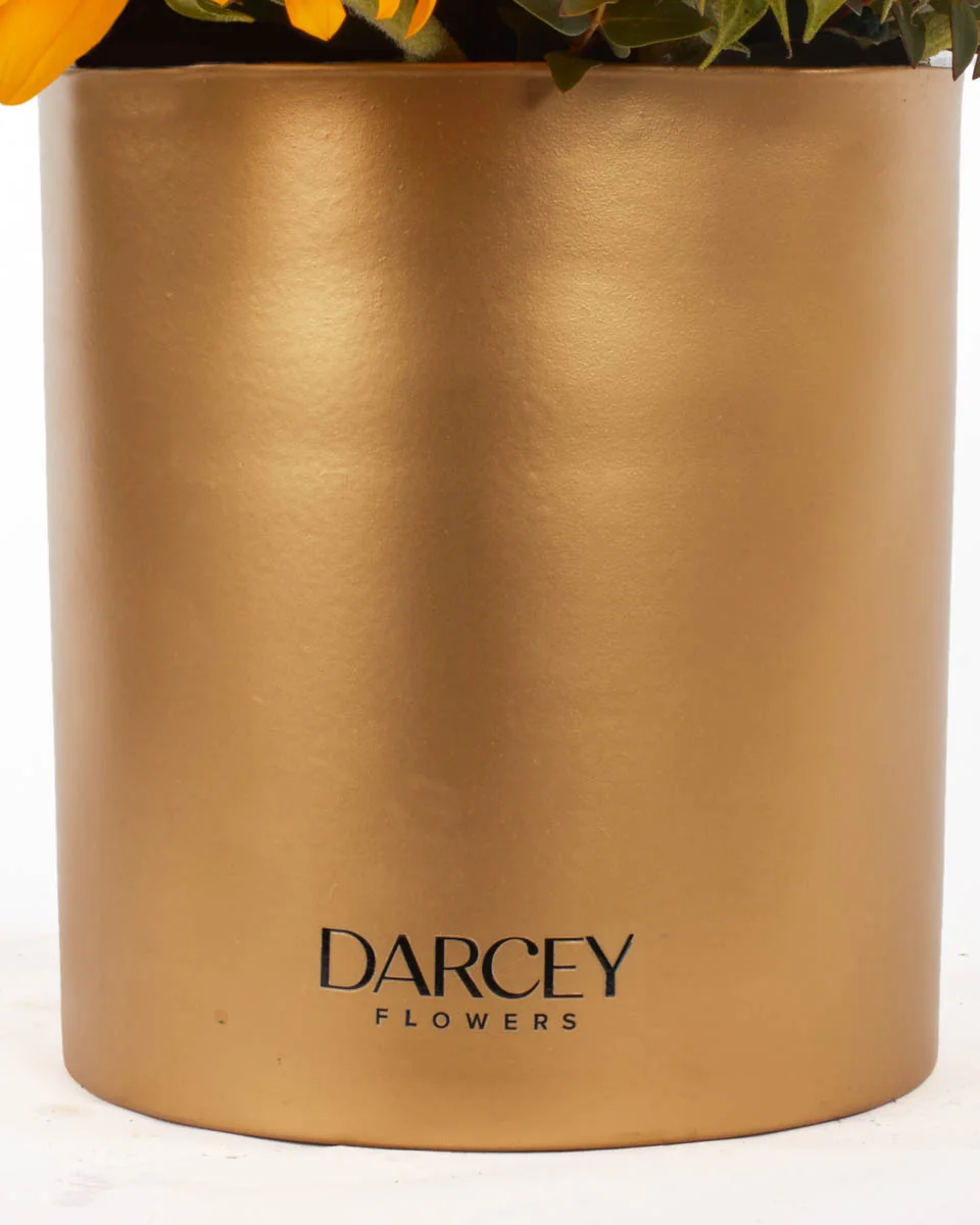 HELLO SUNSHINE 4 JUNE 1, 2023 HELLO SUNSHINE 4 JUNE 1, 2023