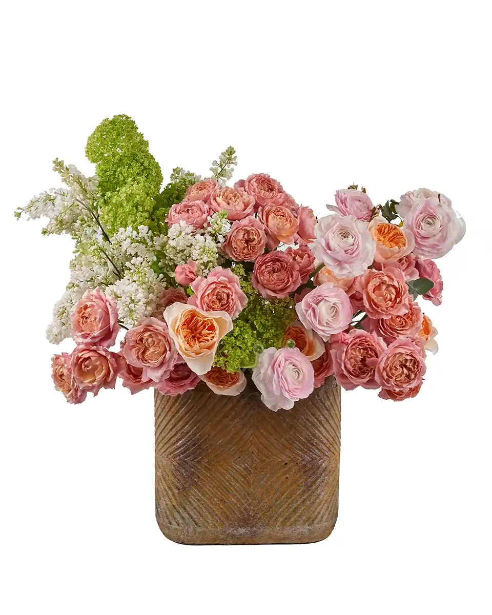 Hush Love Edited 12 Dec 2024 Hush Love Edited 12 Dec 2024