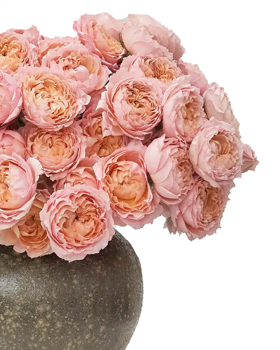 I Love You Baby Details 2025 I Love You Baby Details 2025