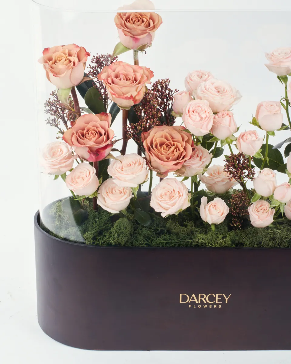 IMG 4348 1 IMG 4348 1