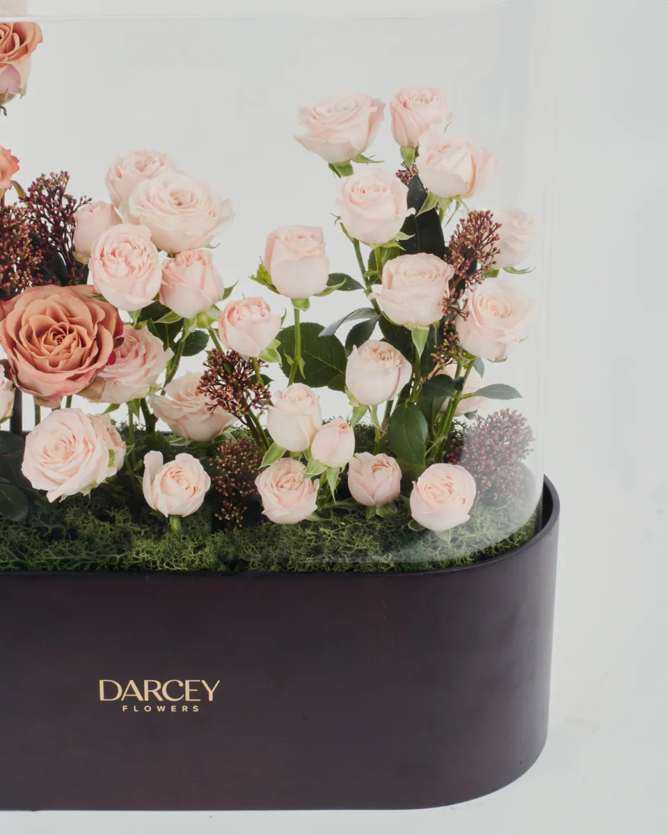 IMG 4349 1 IMG 4349 1