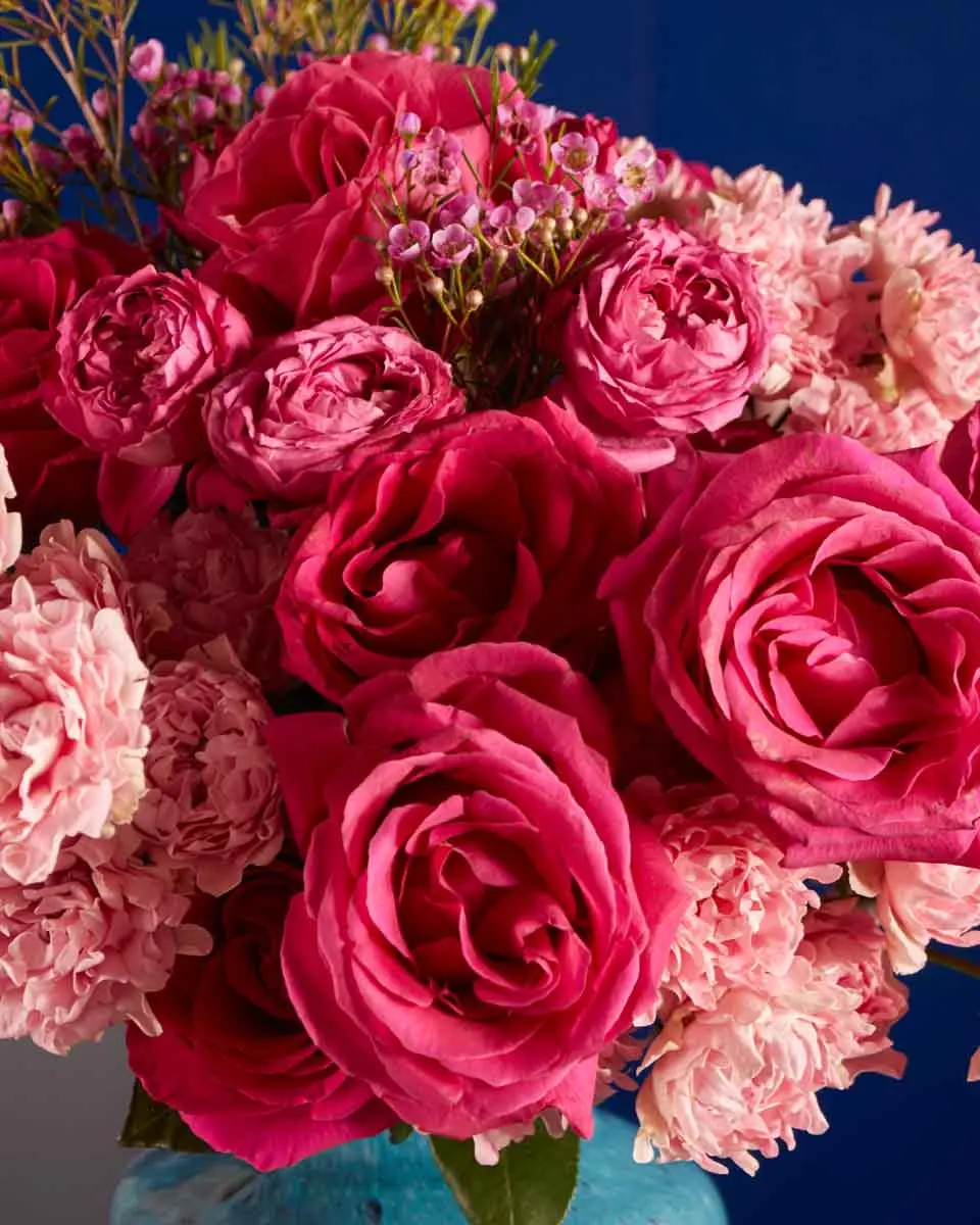 INSPIRED BY JOY 2 INSPIRED BY JOY 2