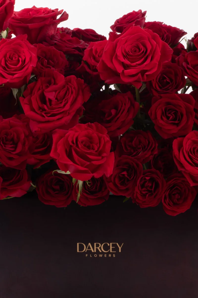 Kiss Me Red VASE 6 3 Kiss Me Red VASE 6 3