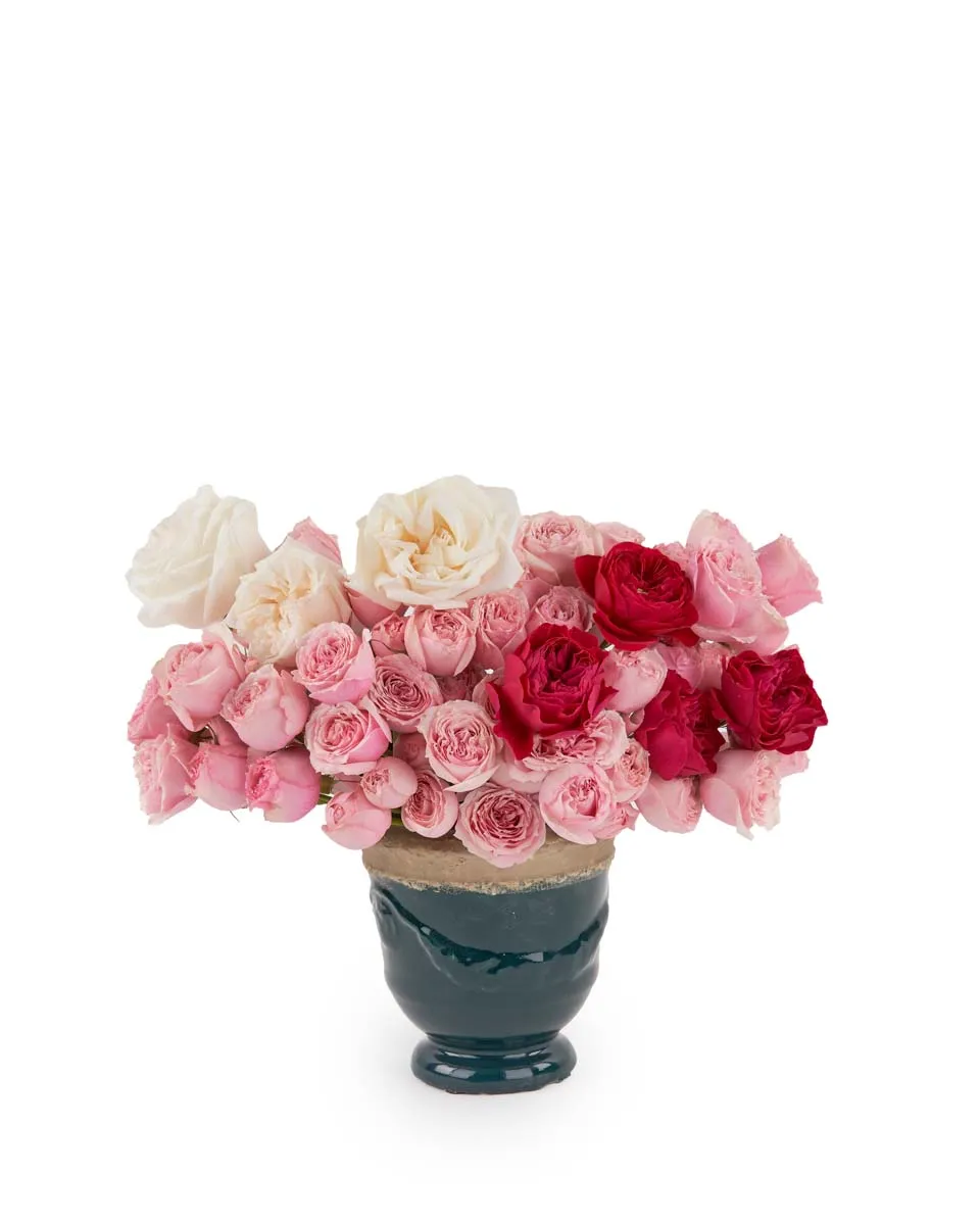 Lovely Blooms JUNE 23 2023 1 Lovely Blooms JUNE 23 2023 1