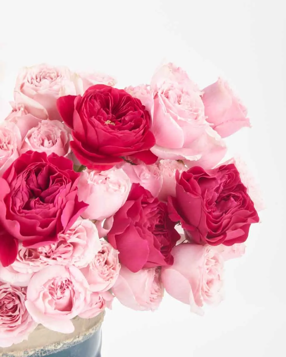 Lovely Blooms JUNE 23 2023 Lovely Blooms JUNE 23 2023