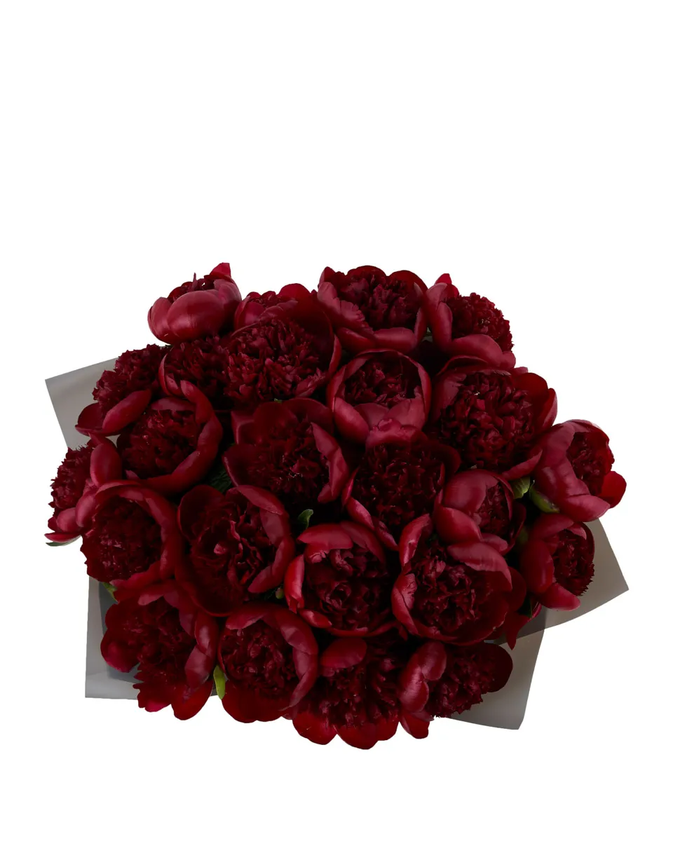 MADELAINE TOP SUPERB MADELAINE TOP SUPERB