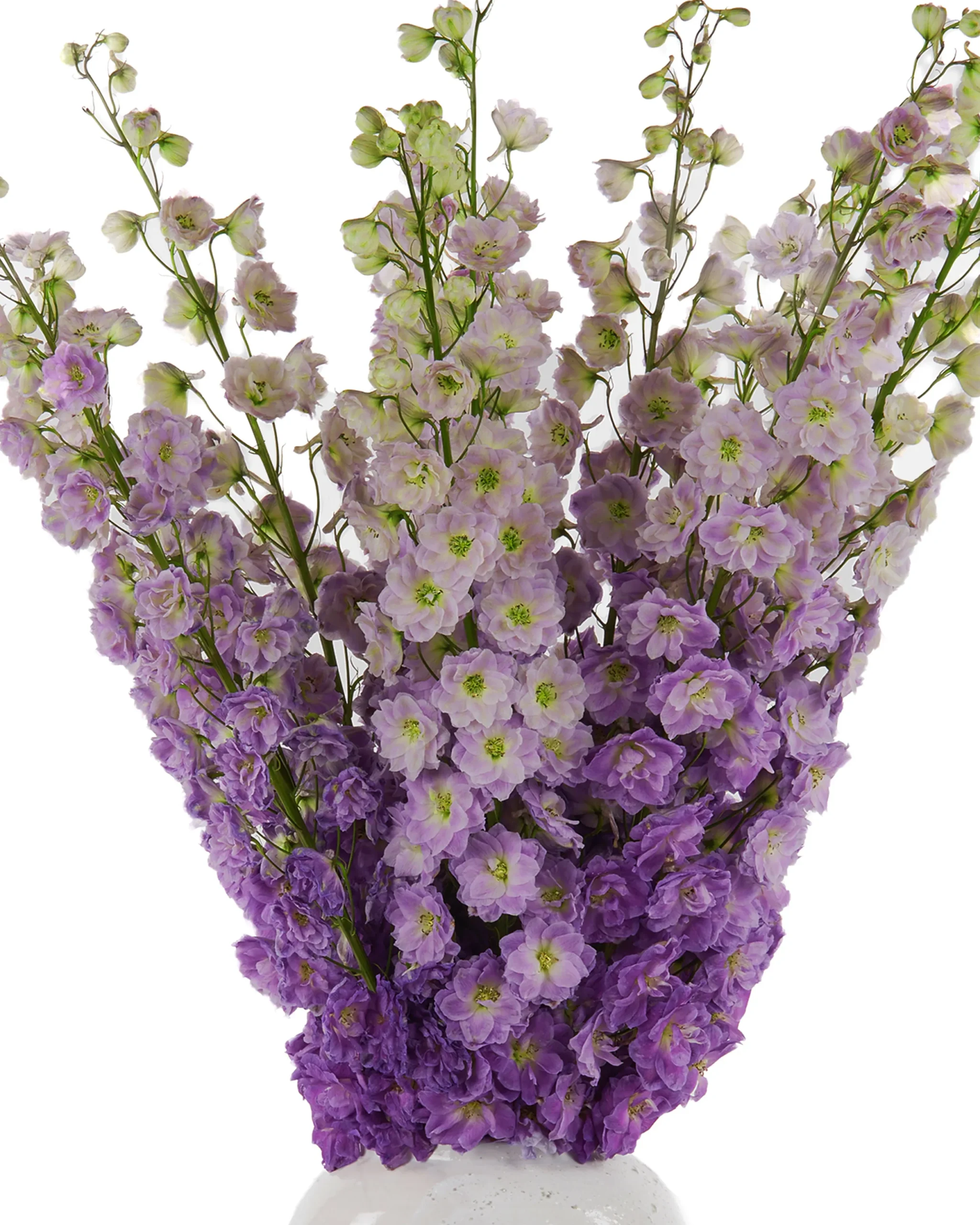 MAGENTA HEART 2 scaled 1 MAGENTA HEART 2 scaled 1