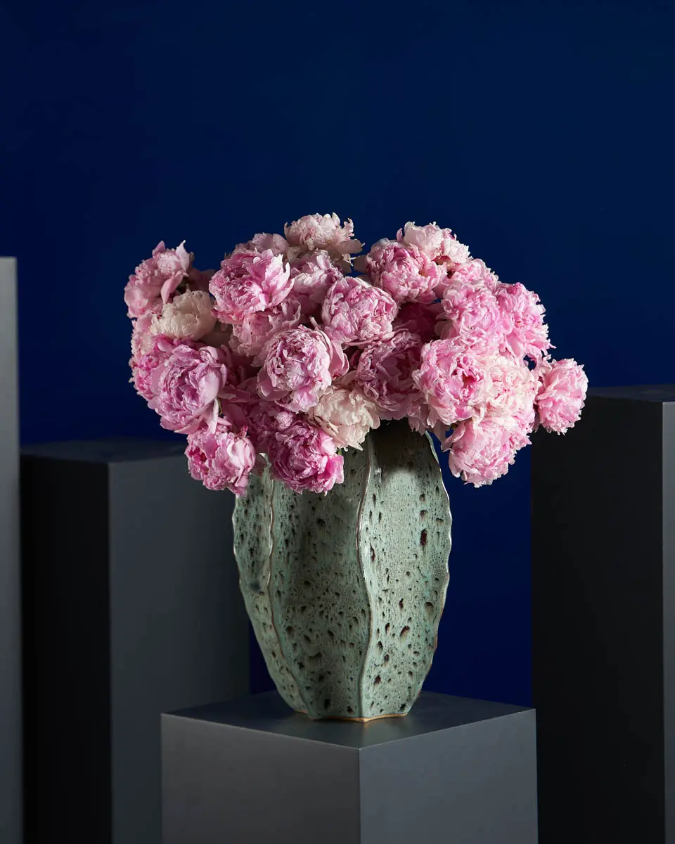 MISS SARAH MISS SARAH