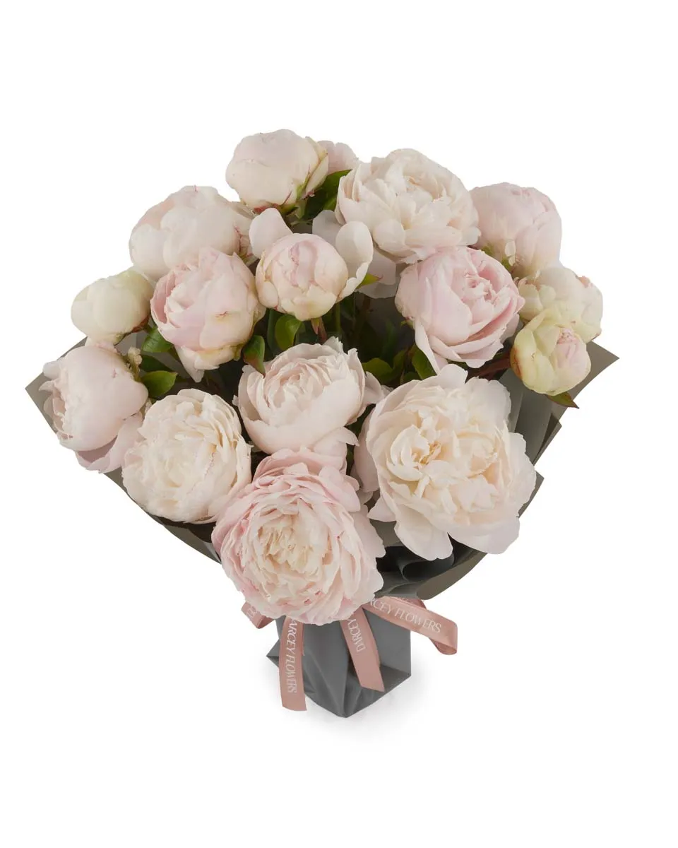 MOTHERS CHOICE IMPRESSIVE JUNE 7 2023 MOTHERS CHOICE IMPRESSIVE JUNE 7 2023