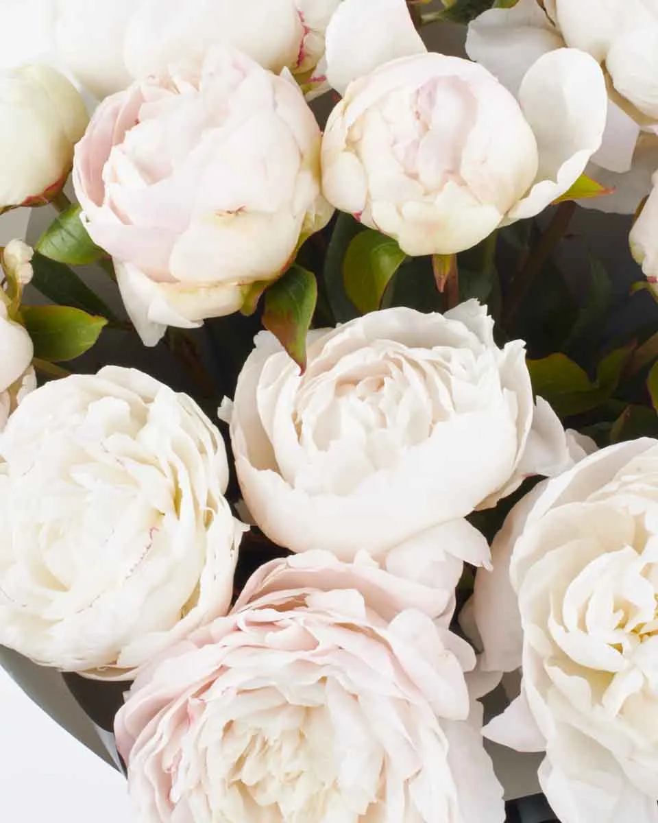 MOTHER S CHOICE IMPRESSIVE JUNE 7 2023 1 MOTHER S CHOICE IMPRESSIVE JUNE 7 2023 1