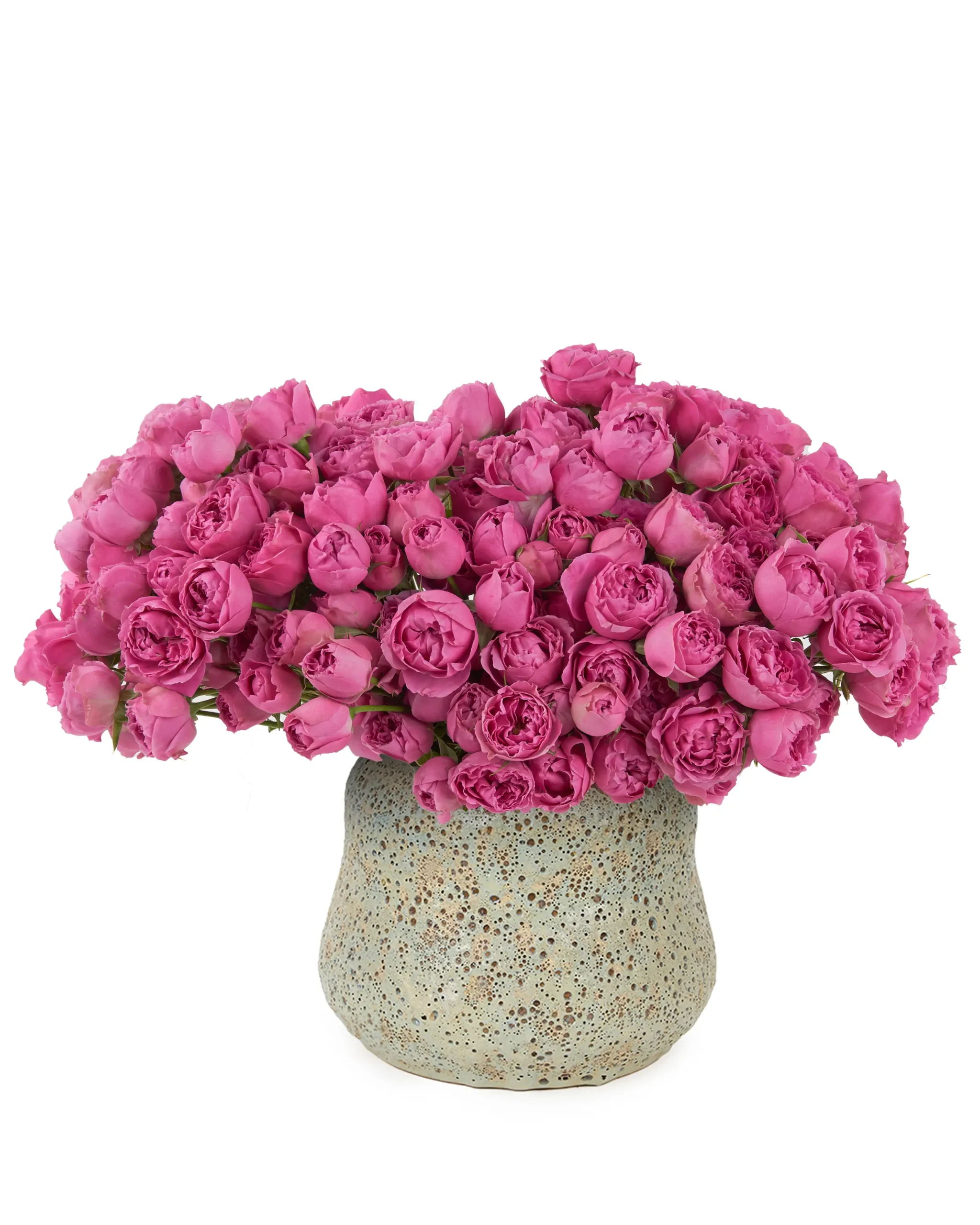 My Baby Love misty bubbles JUNE 17 2023 4 scaled 1 My Baby Love misty bubbles JUNE 17 2023 4 scaled 1