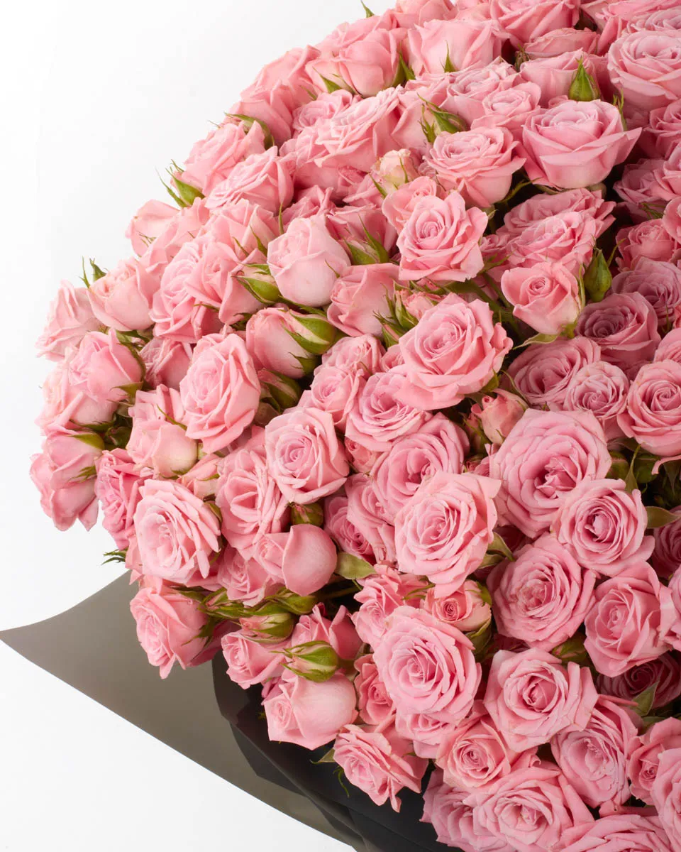 ODILA GRAND JUNE 3 2023 1 ODILA GRAND JUNE 3 2023 1