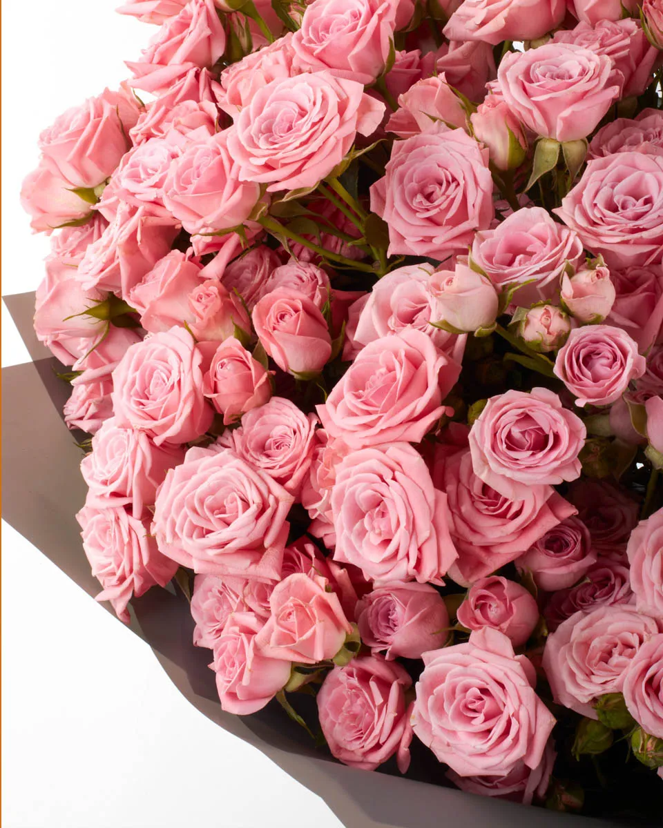 ODILA SUPERB JUNE 3 2023 1 ODILA SUPERB JUNE 3 2023 1