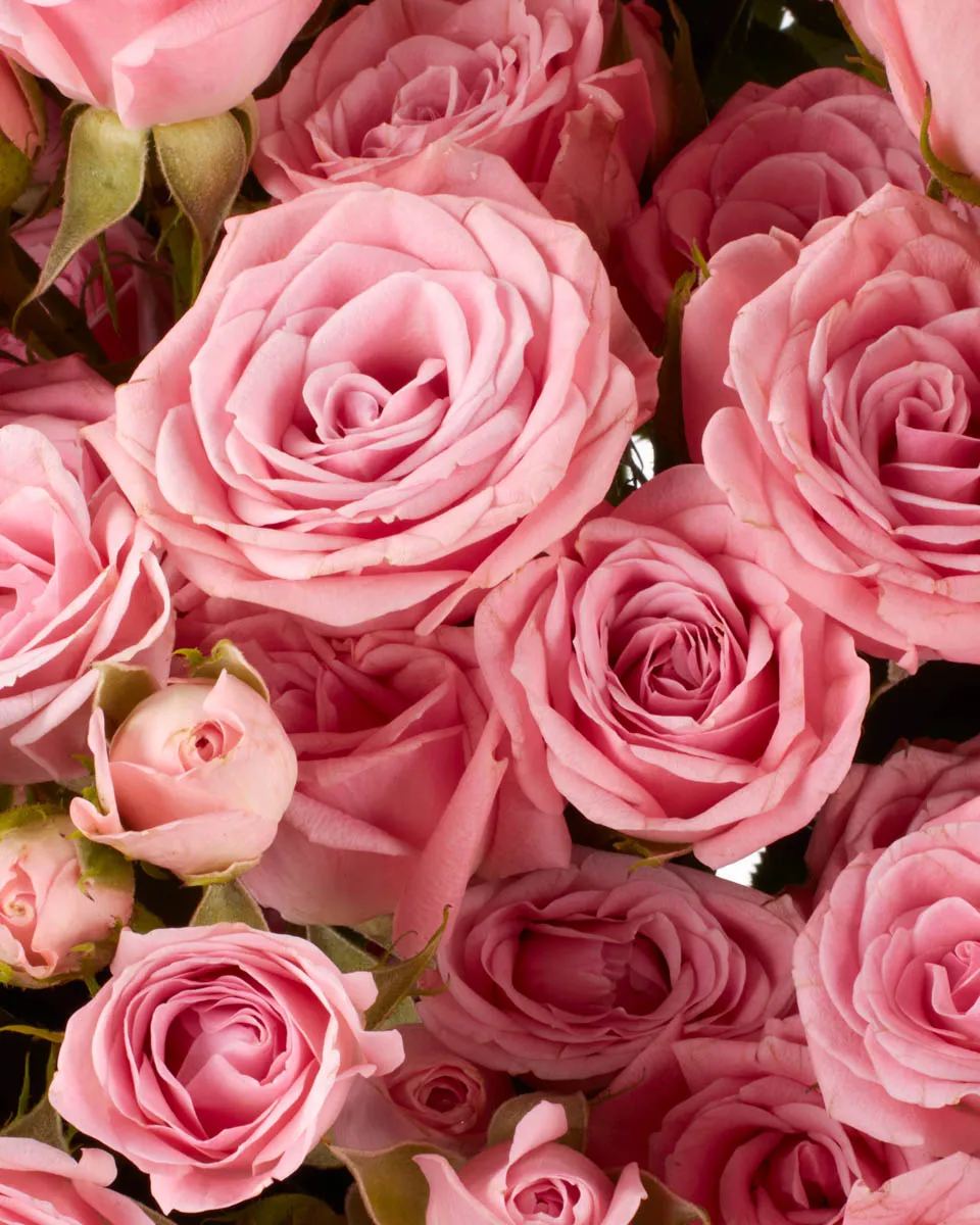 ODILA SUPERB JUNE 3 2023 3 ODILA SUPERB JUNE 3 2023 3