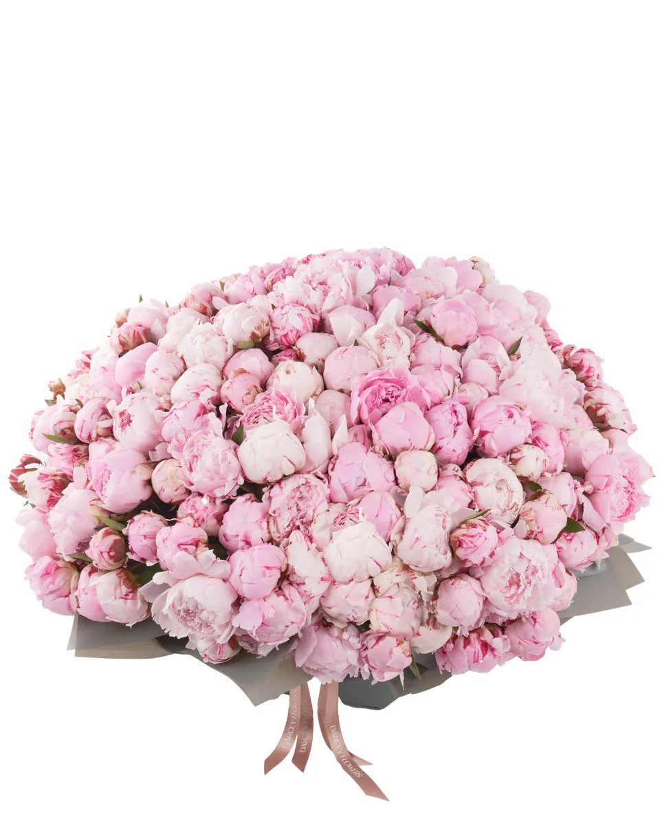 PEONY OVERLOAD 250 JUNE 6 2023 21 PEONY OVERLOAD 250 JUNE 6 2023 21