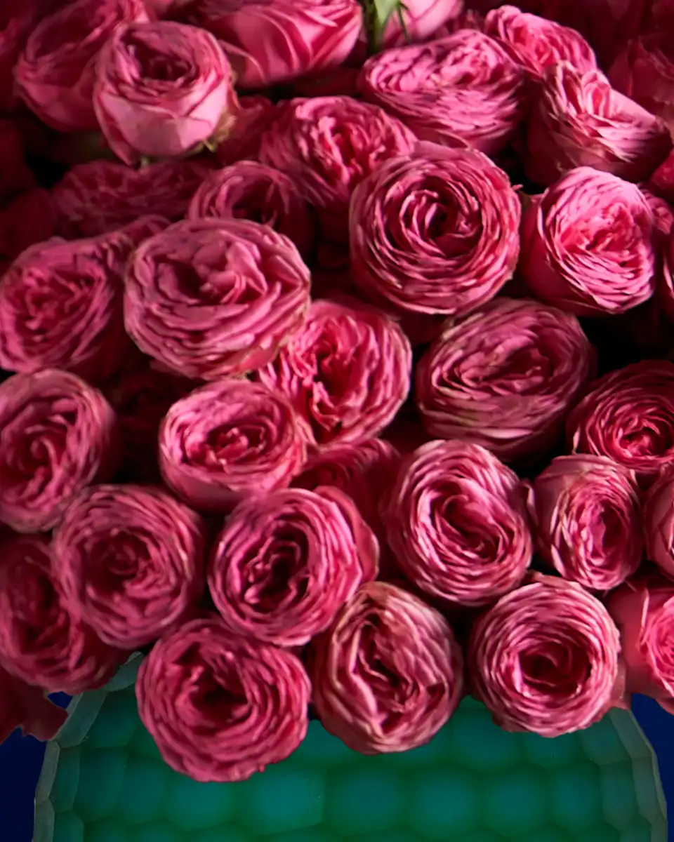 PERHAPS LOVE 2 Edited 9 Sep PERHAPS LOVE 2 Edited 9 Sep