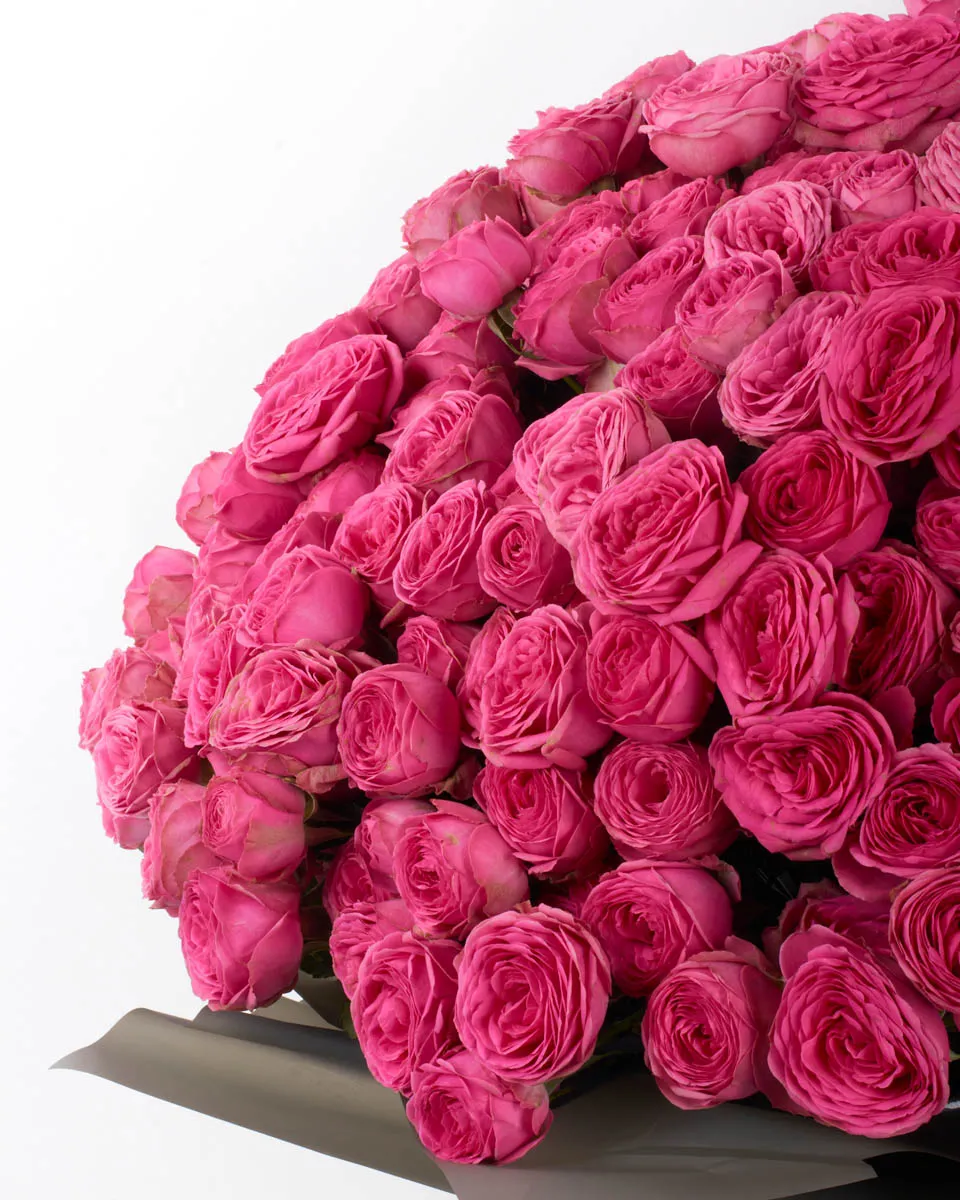 PINK GISELLE GRAND JUNE 3 2023 1 PINK GISELLE GRAND JUNE 3 2023 1