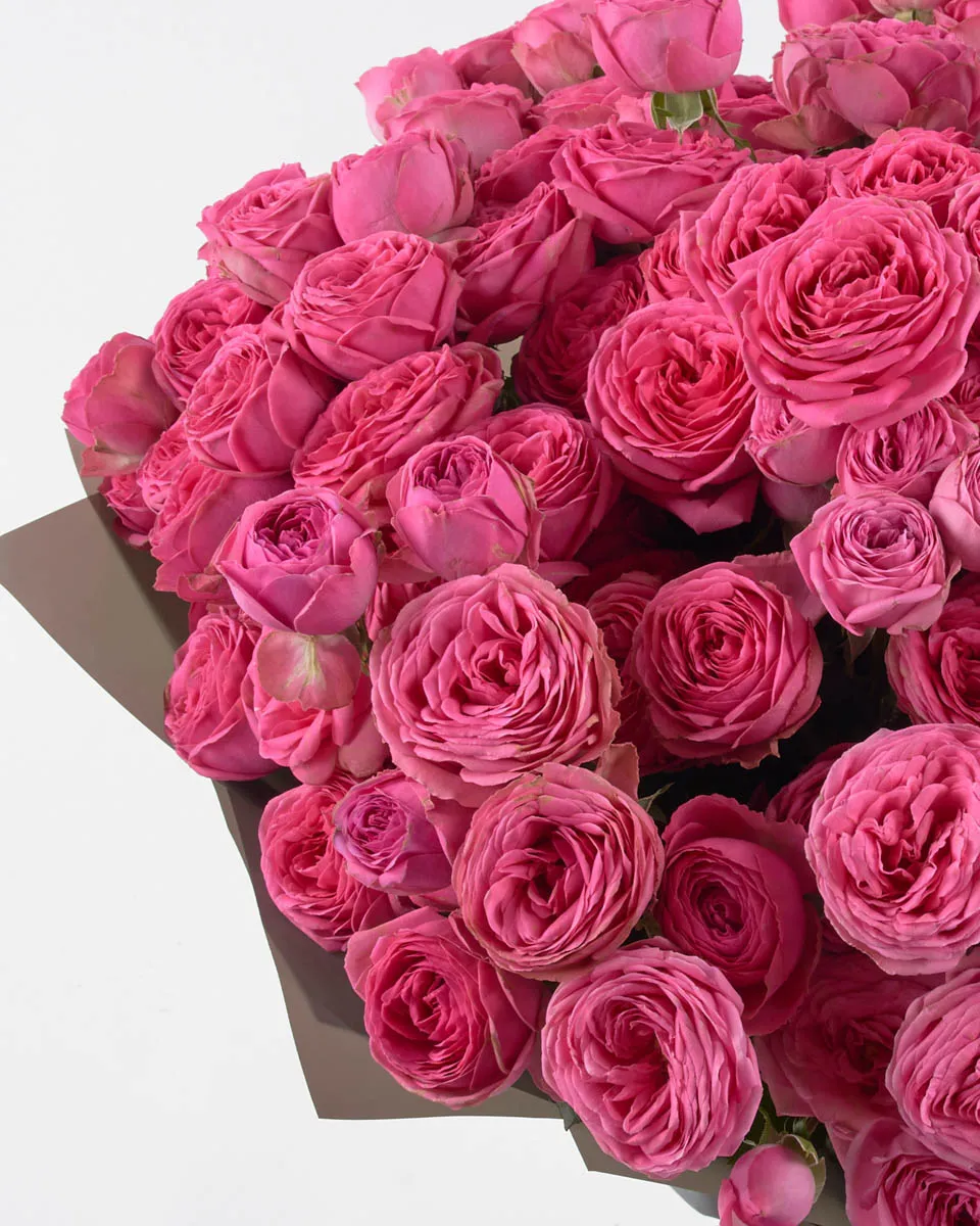 PINK GISELLE SUPERB JUNE 3 2023 1 PINK GISELLE SUPERB JUNE 3 2023 1