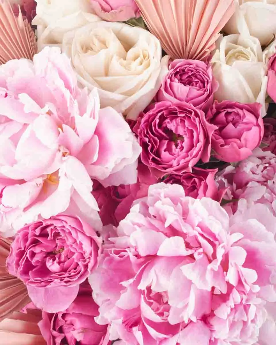 Pink Glamour grand JUNE 17 2023 1 Pink Glamour grand JUNE 17 2023 1