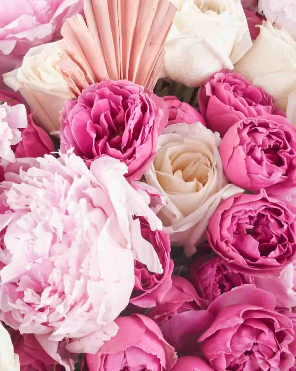 Pink Glamour superb JUNE 17 2023 1 1 Pink Glamour superb JUNE 17 2023 1 1