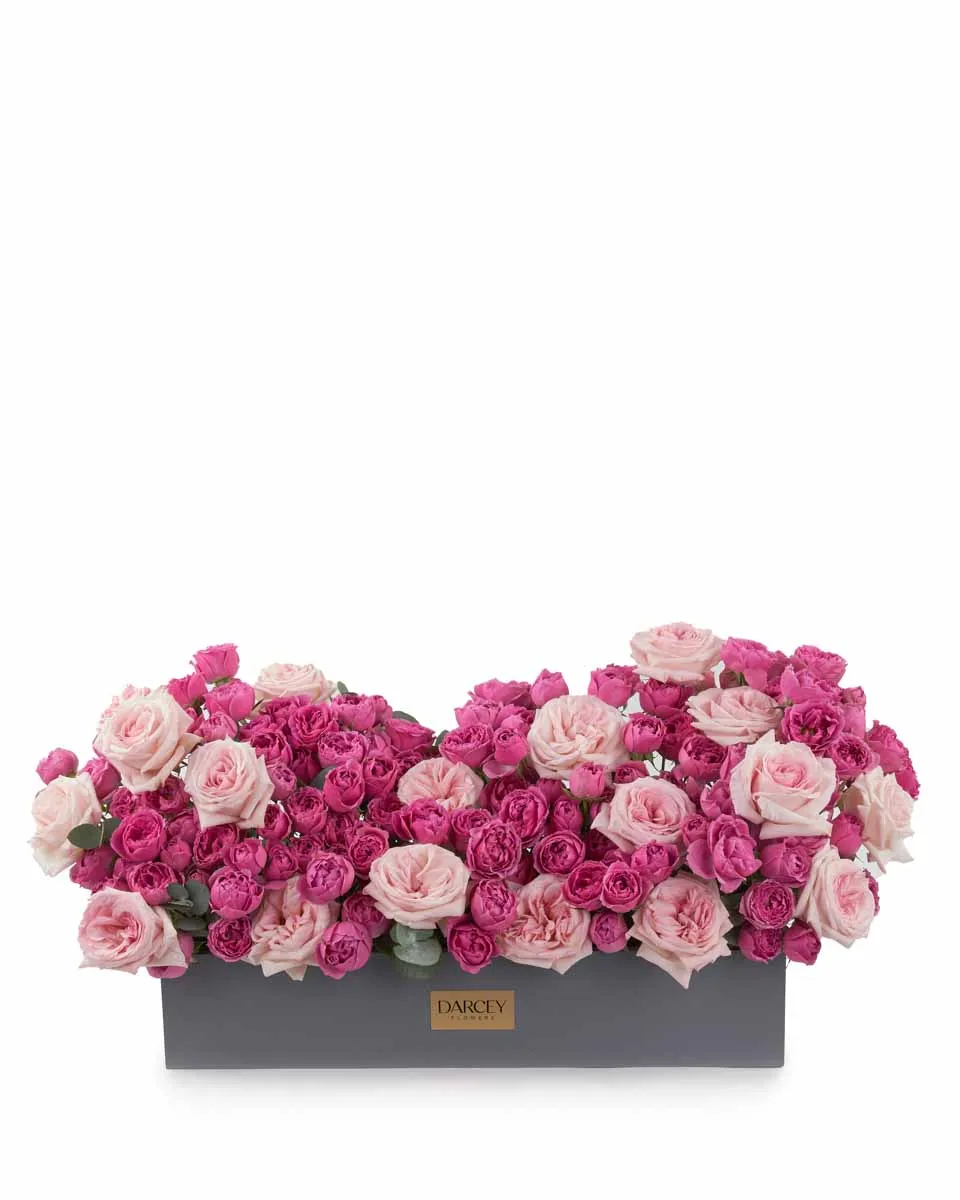 Pink OHara Beauty LARGE JUNE 19 2023 Pink OHara Beauty LARGE JUNE 19 2023