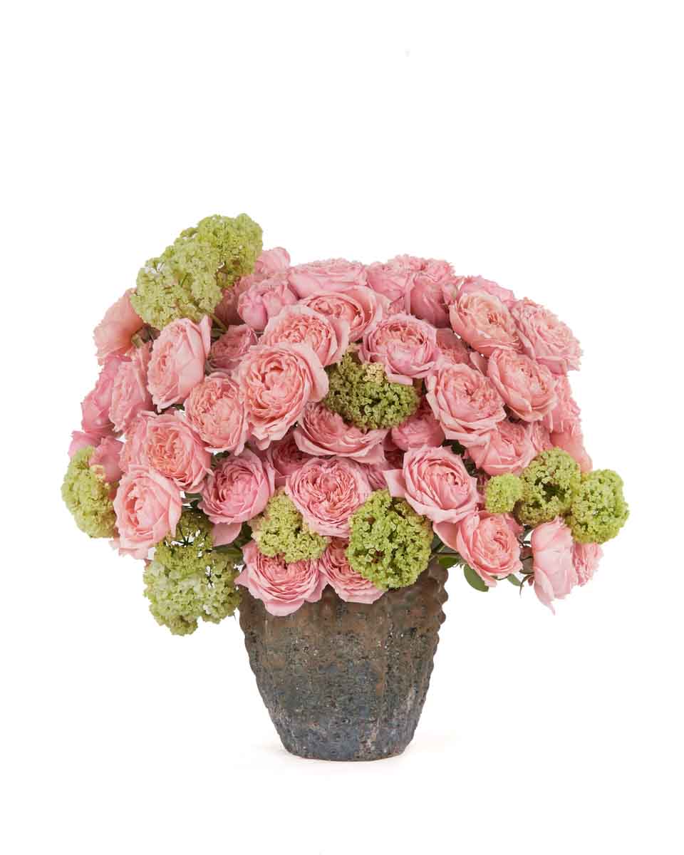 ROSEUM GAZE ROSEUM GAZE