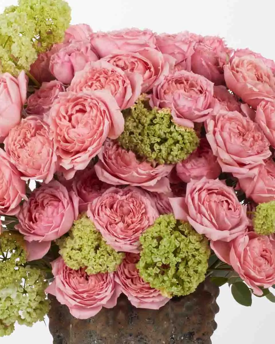 ROSEUM GAZE 1 JUNE 1 2023 ROSEUM GAZE 1 JUNE 1 2023