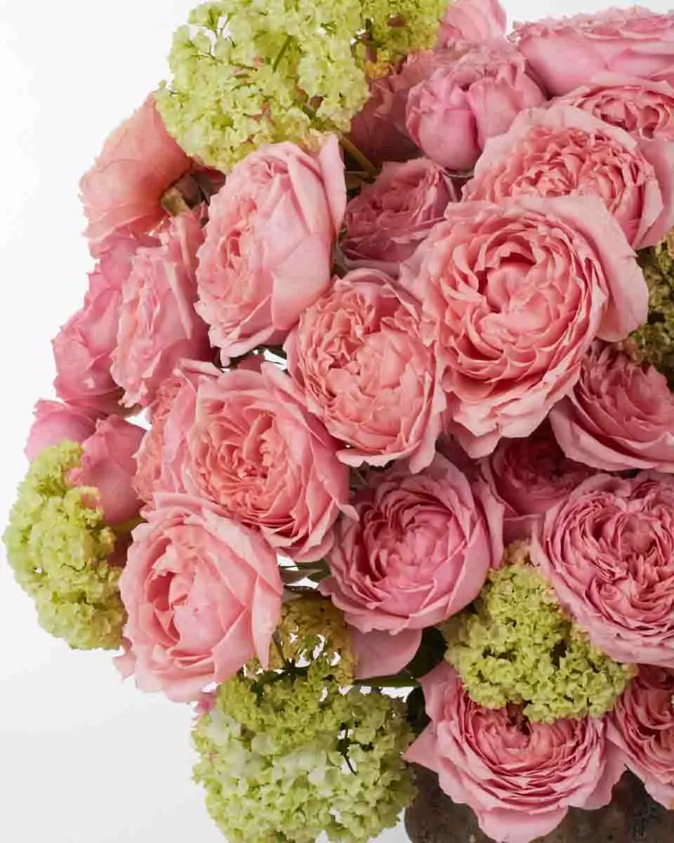 ROSEUM GAZE 3 JUNE 1 2023 ROSEUM GAZE 3 JUNE 1 2023