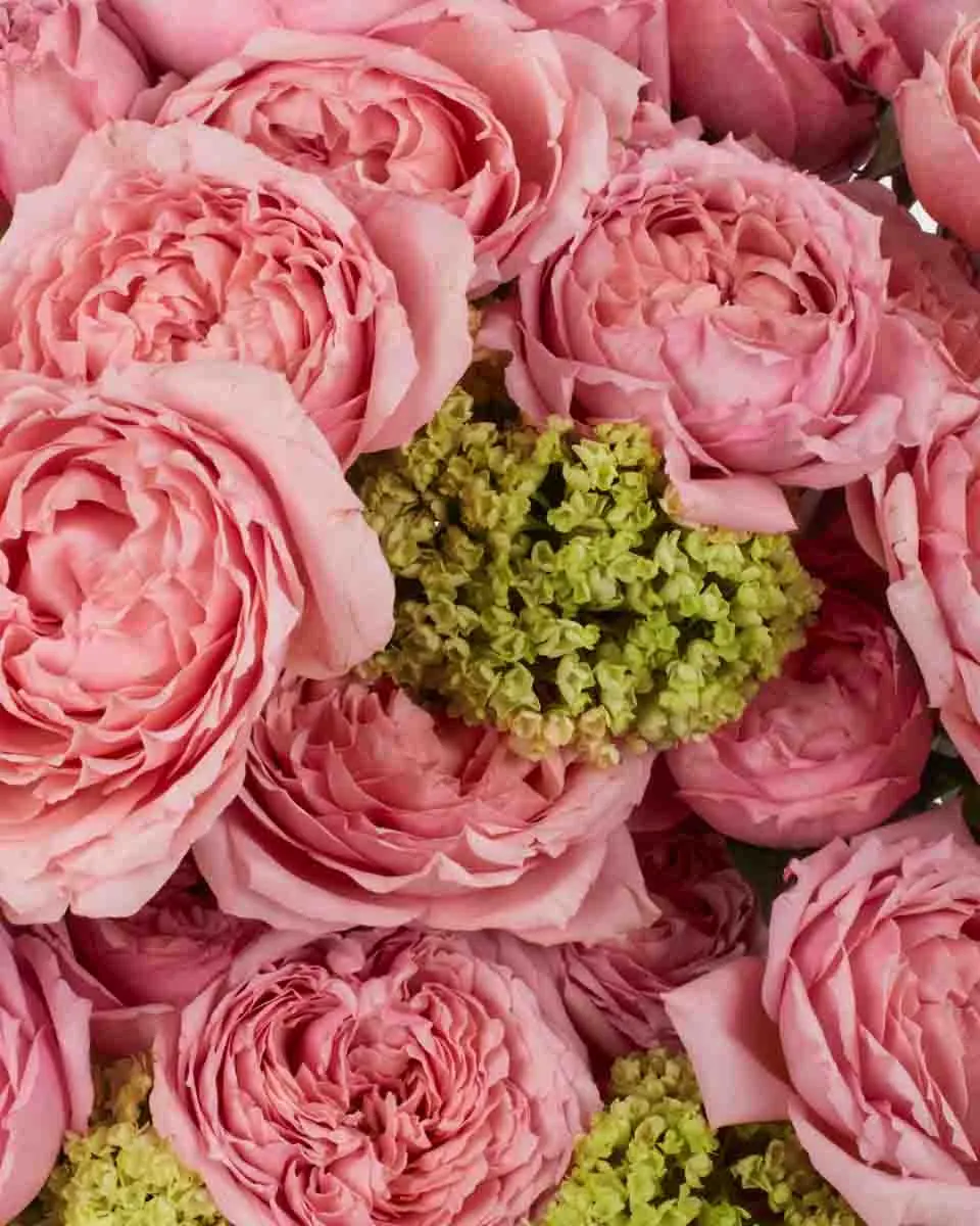 ROSEUM GAZE 4 JUNE 1 2023 ROSEUM GAZE 4 JUNE 1 2023