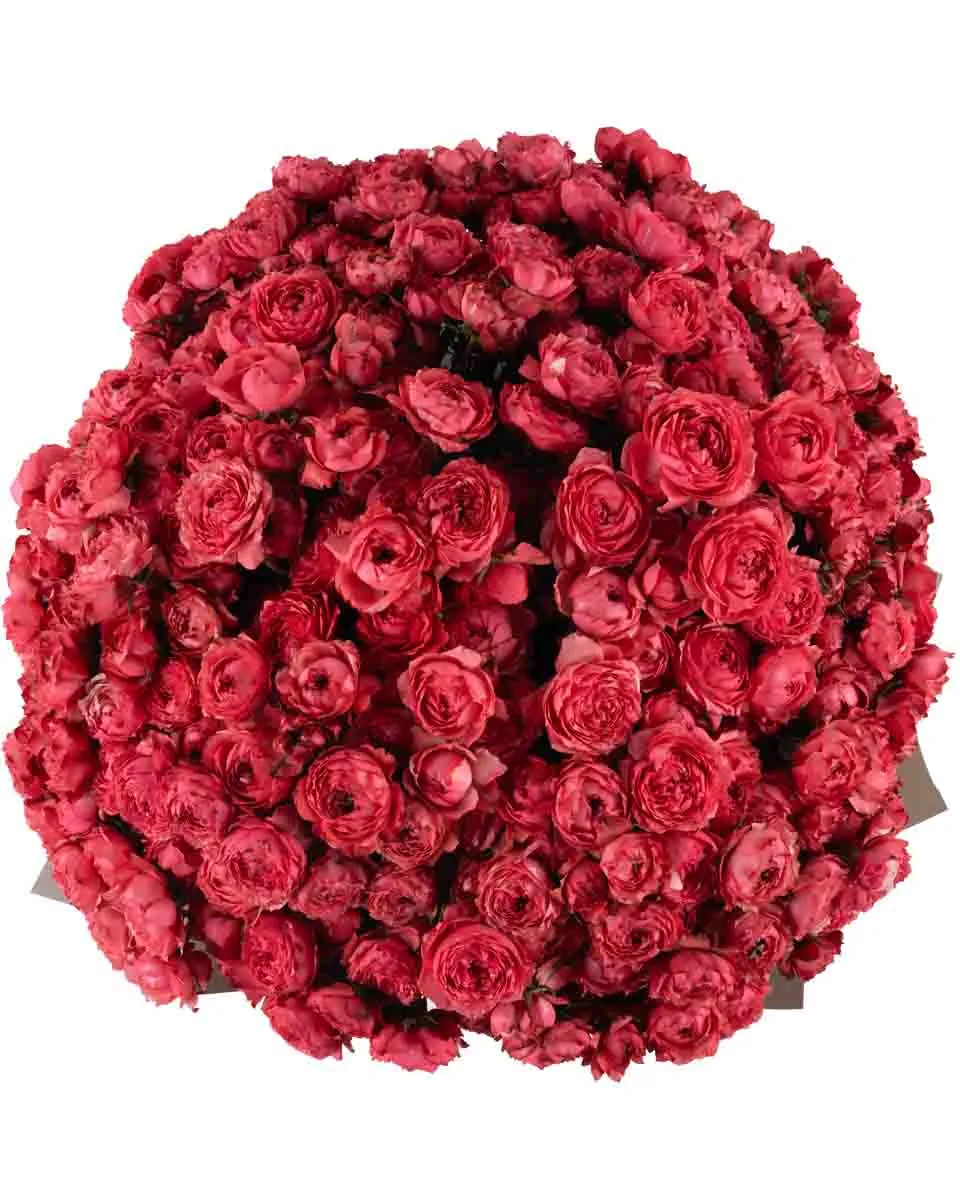 Raspberry Love JUNE 13 2023 top Raspberry Love JUNE 13 2023 top