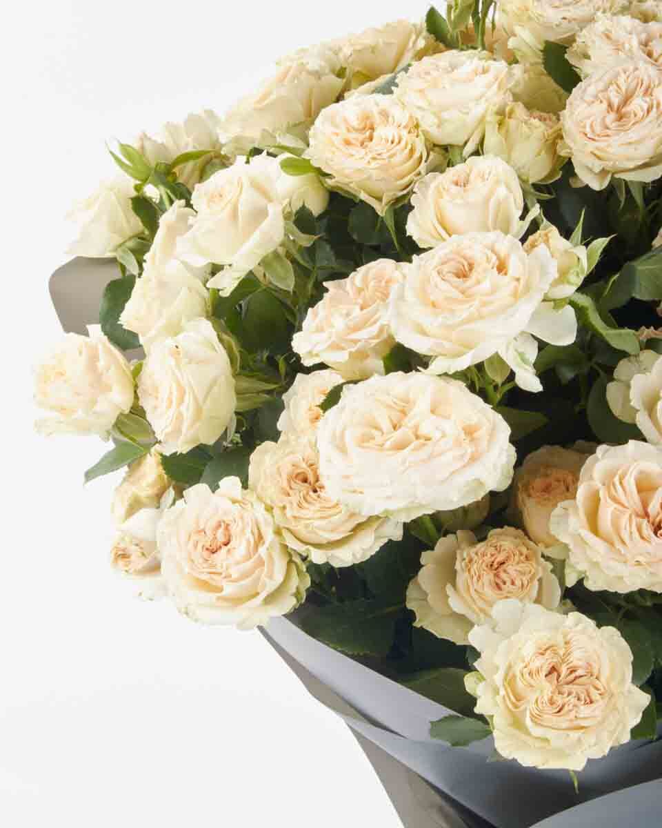 Roselle superb 29 August 2025 Roselle superb 29 August 2025