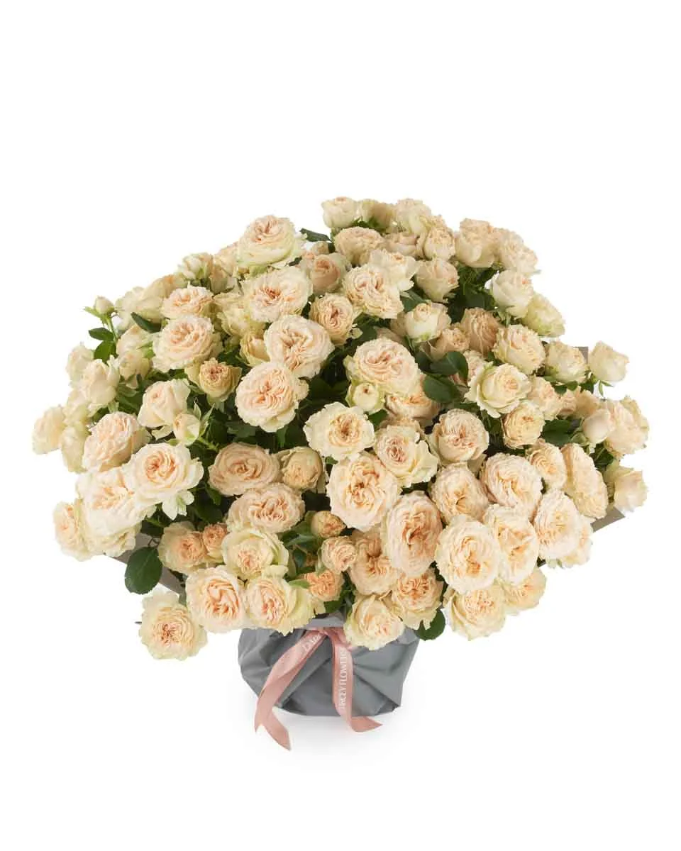 Roselle superb Aug 29 2025 Roselle superb Aug 29 2025