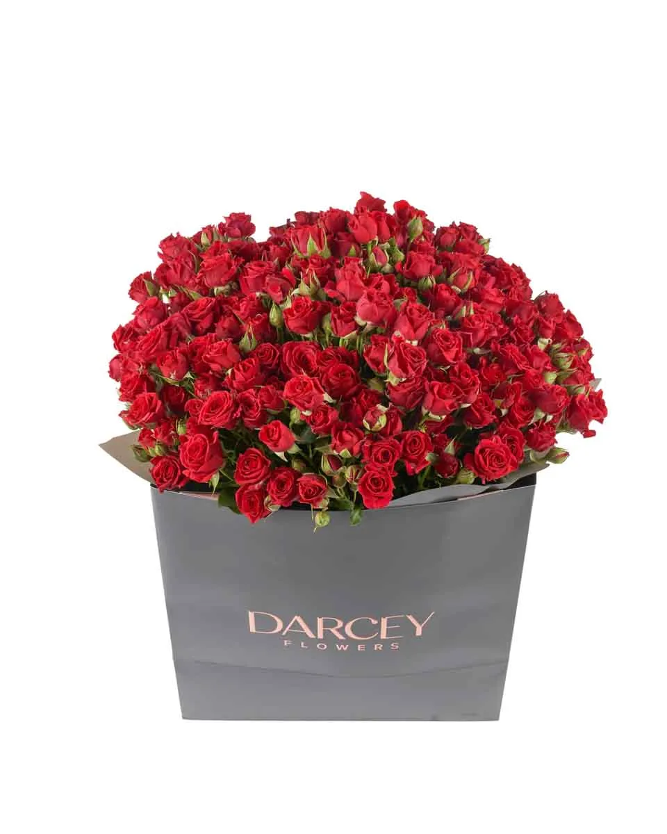 Ruby Red paper bag JUNE 13 2023 Ruby Red paper bag JUNE 13 2023